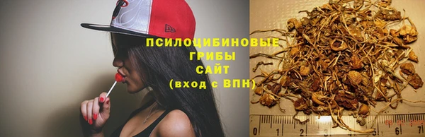 крисы Горняк