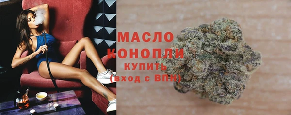 крисы Горняк