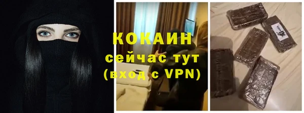 крисы Горняк