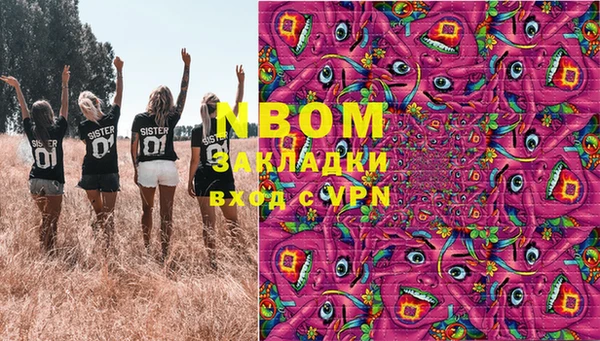 крисы Горняк