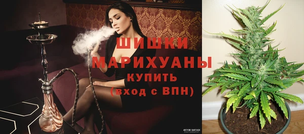 крисы Горняк