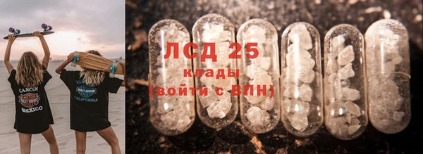 кокс Гусев