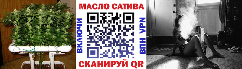 Купить где  Кашин  ТГК концентрат 